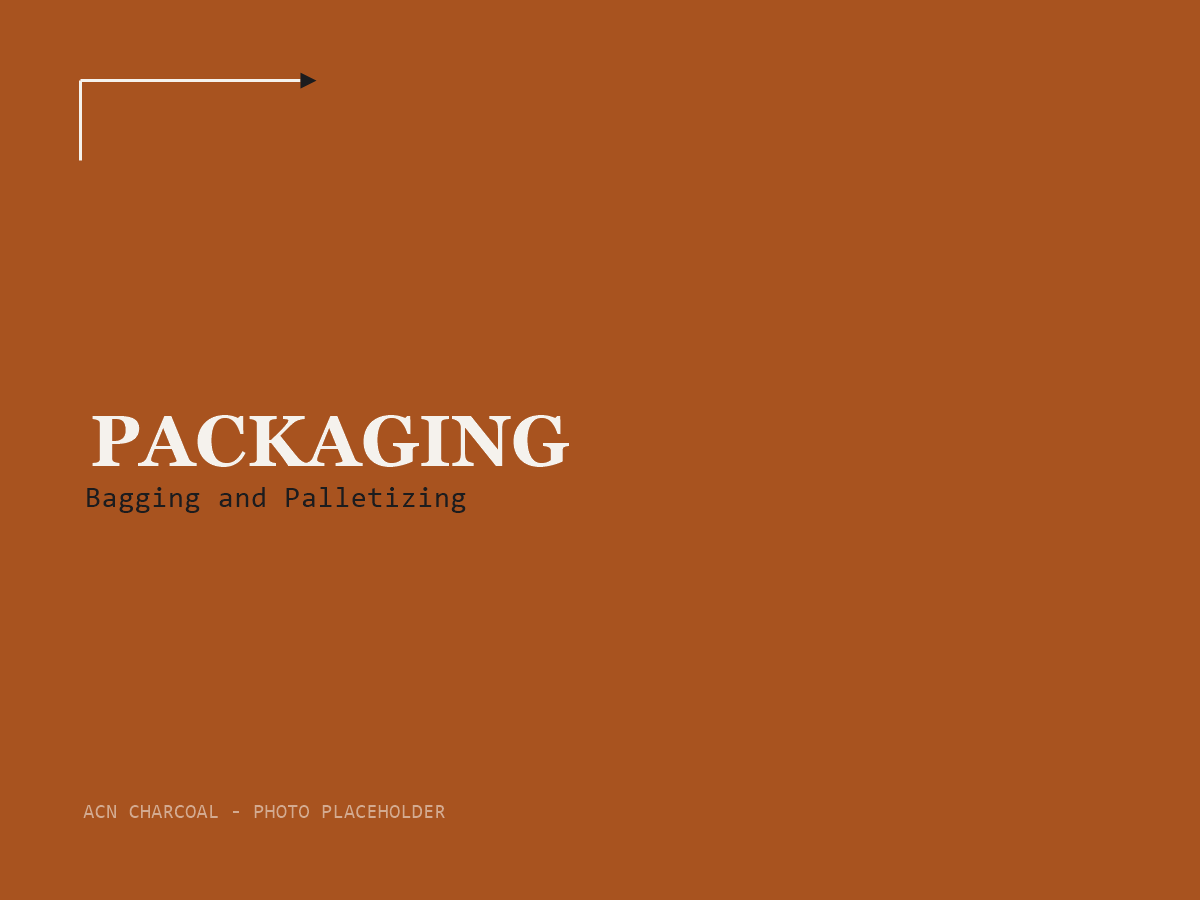 ACN Charcoal — Packaging