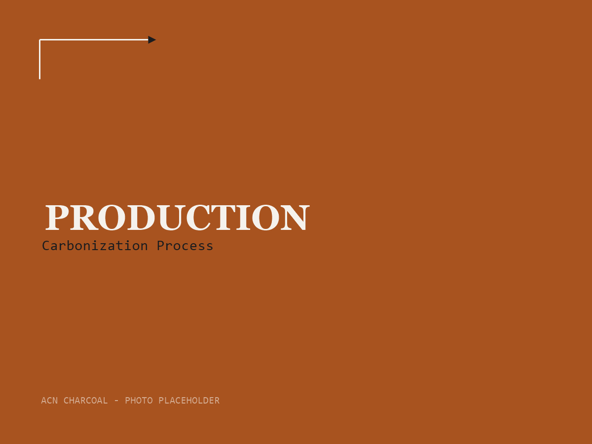ACN Charcoal — Production