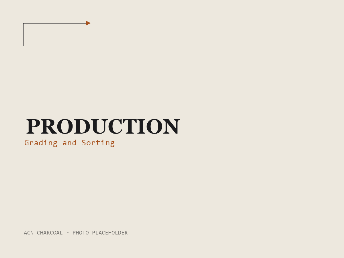 ACN Charcoal — Production