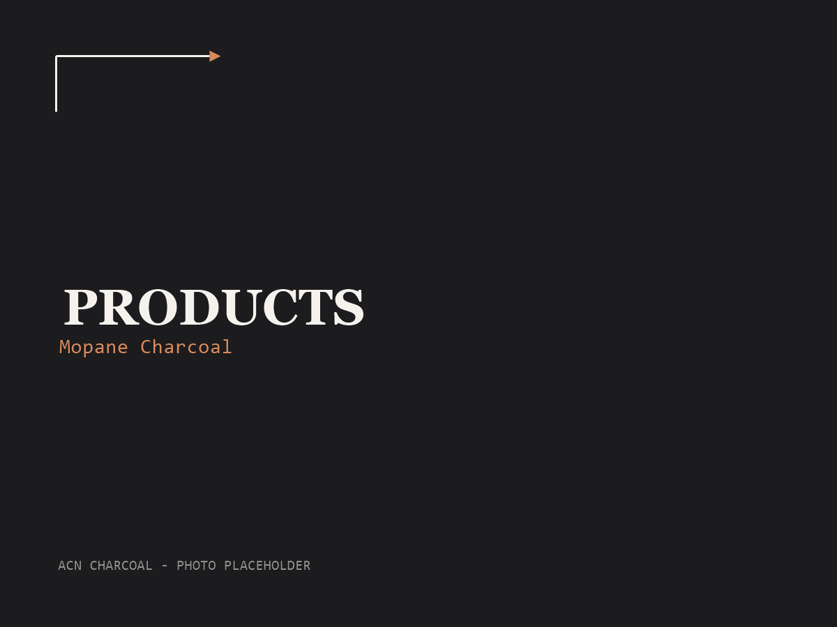 ACN Charcoal — Products