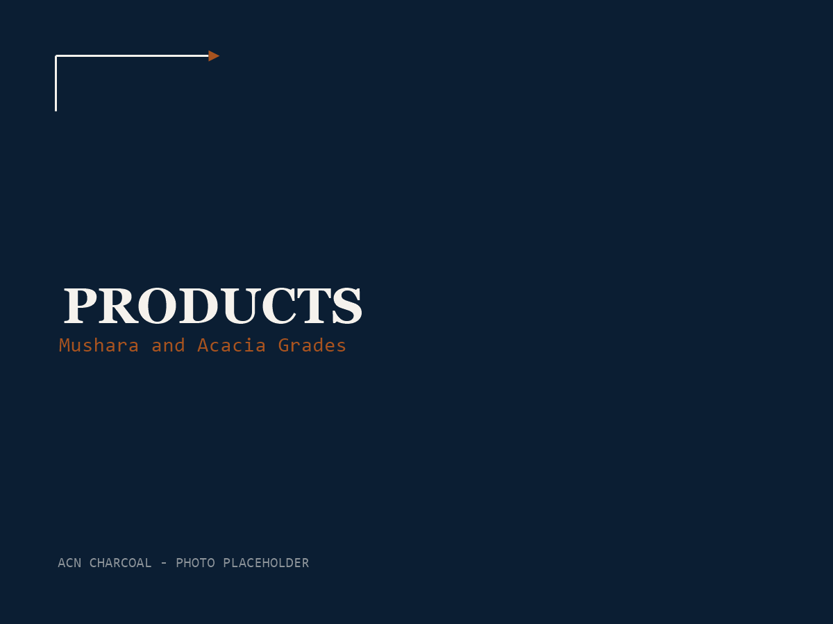 ACN Charcoal — Products